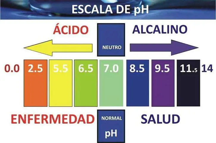 Visitar Visitar