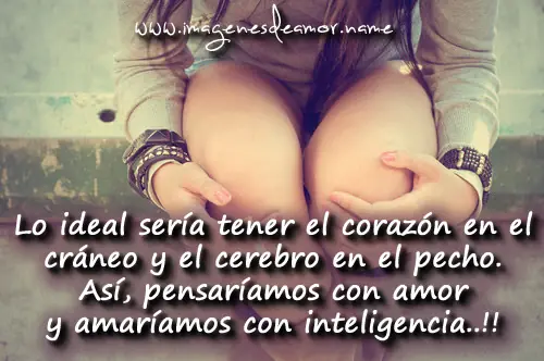 amor