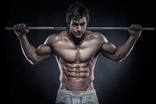 muscular muscular