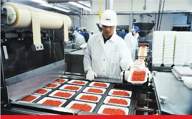 procesador de alimentos
