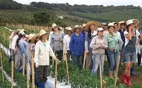 conocimiento conocimiento