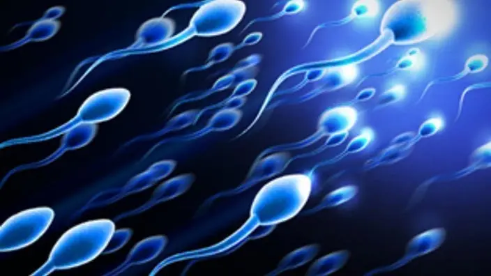 semen