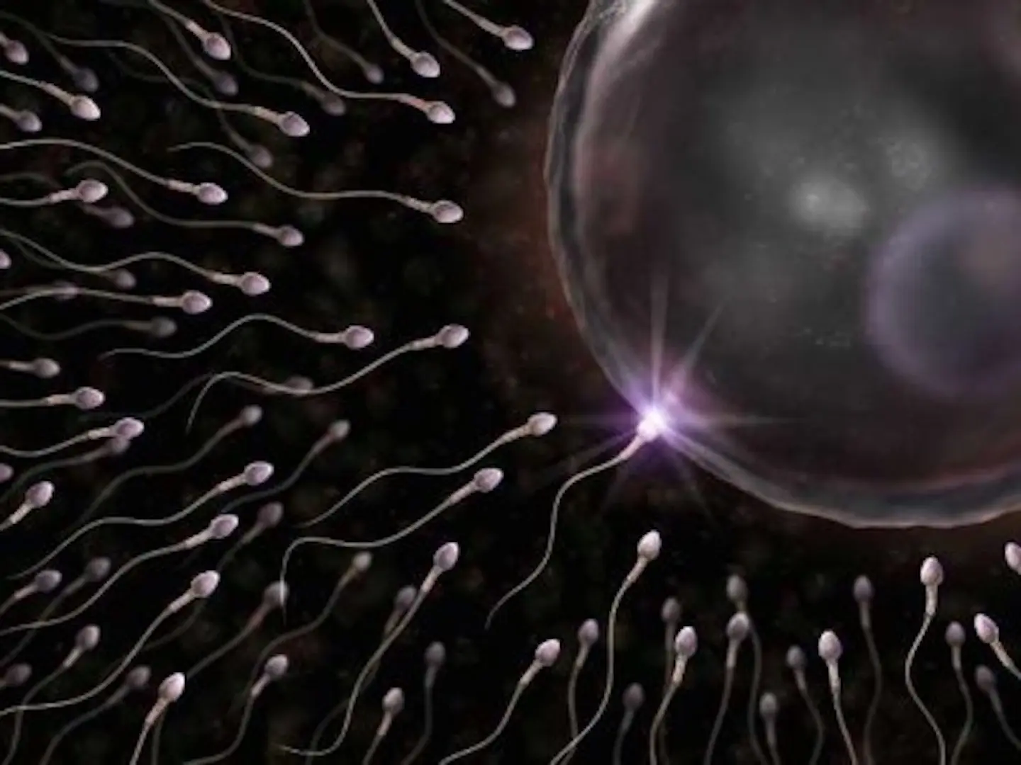 semen