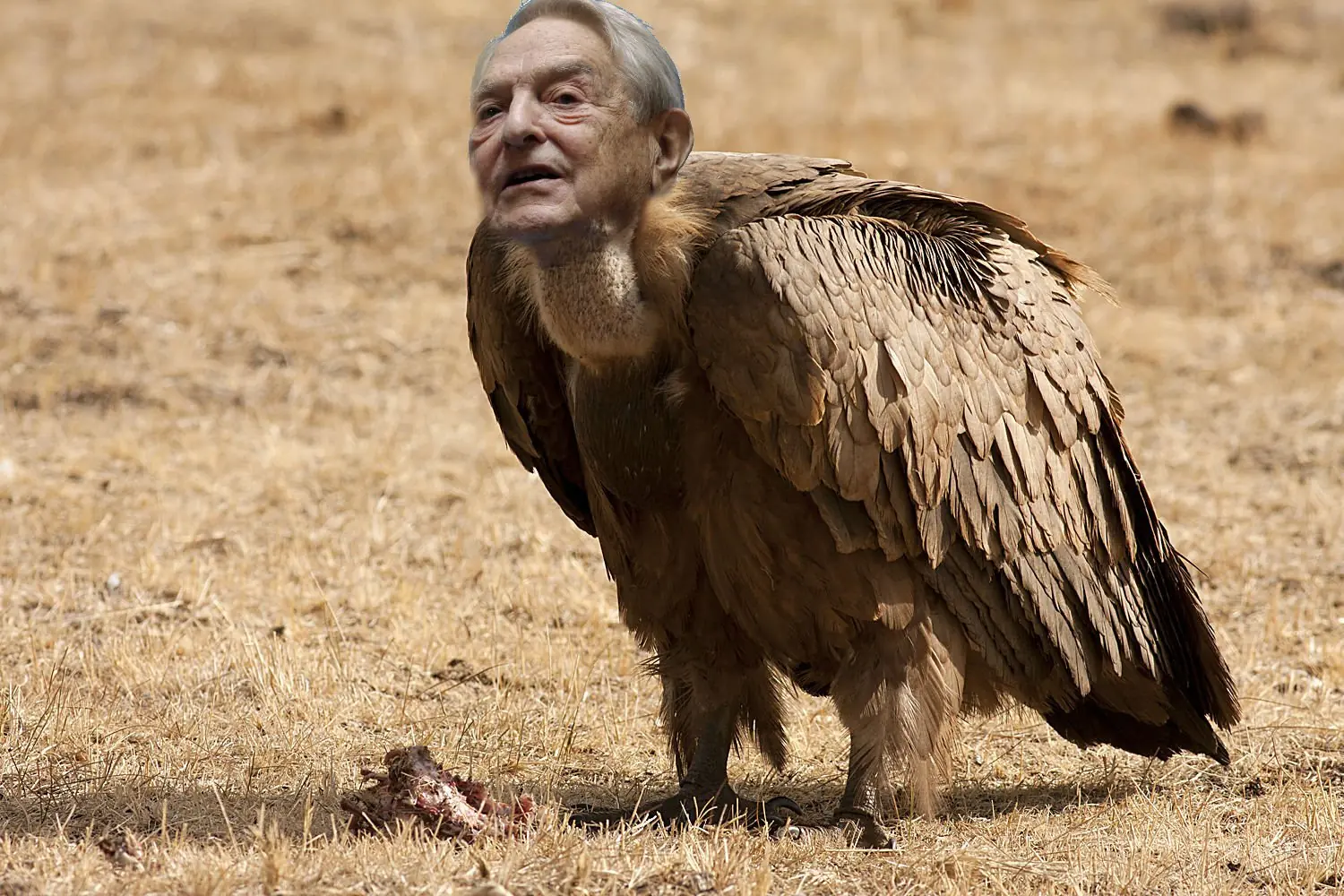 Golpe bajo de Soros a Putin, pasá...