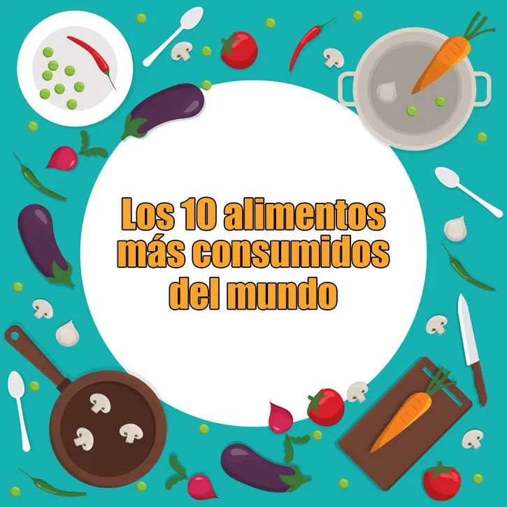 alimento alimento