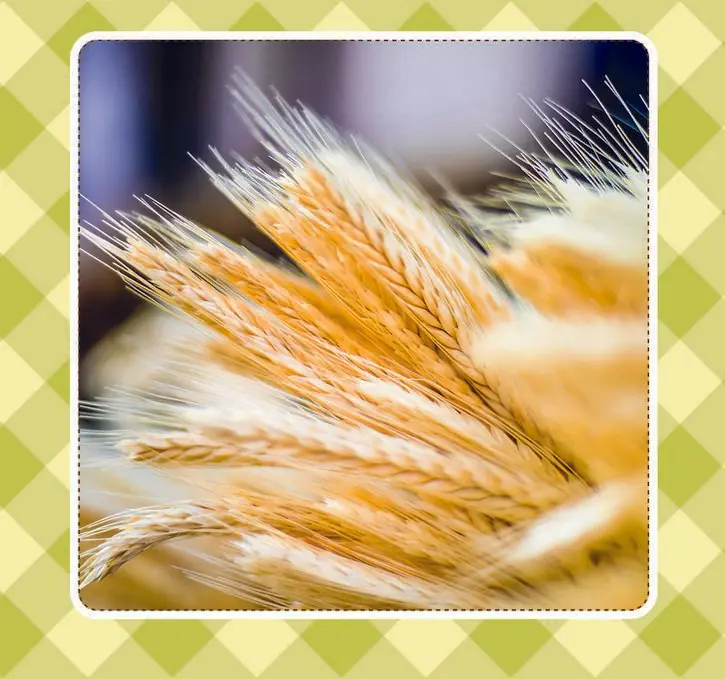Los alimentos mas consumidos en el mundo Los alimentos mas consumidos en el mundo
