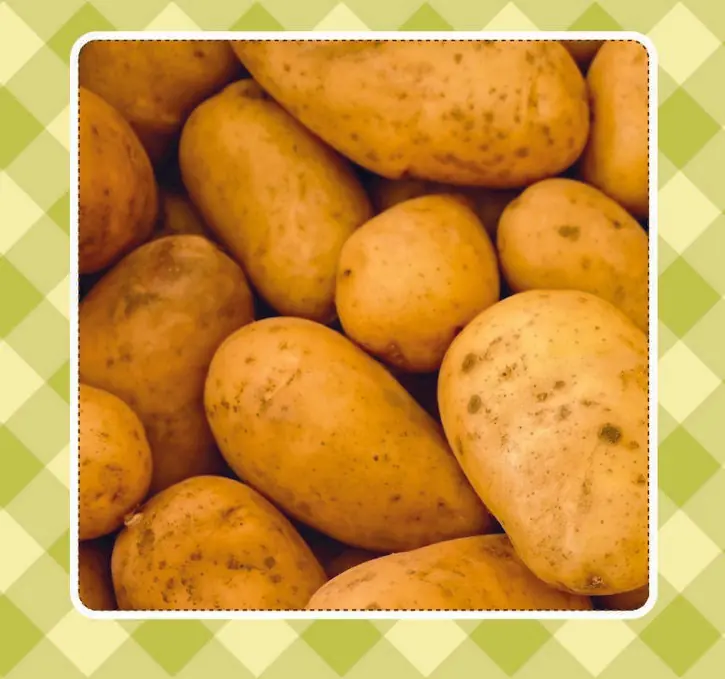 alimento alimento