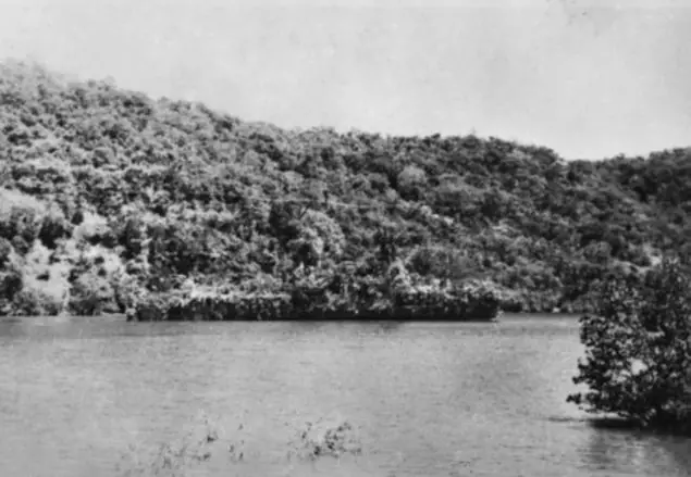 barcos