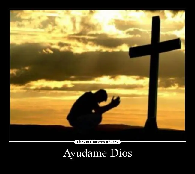 exitos 2015