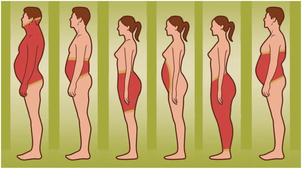 En que lugar del cuerpo acumulas Grasa, lo que dice de tí