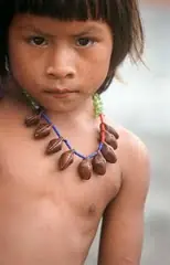 ¿Niño inca llevado en barco vikingo 500 años pre colon? ¿Niño inca llevado en barco vikingo 500 años pre colon?