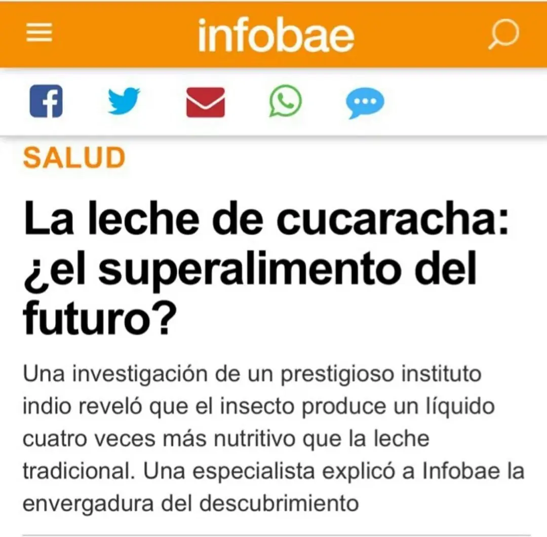 infobae infobae