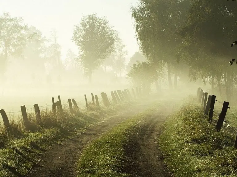 Batalla de Gallipoli