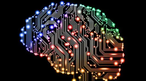 Con Internet, cada vez usamos menos la memoria!