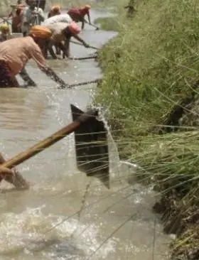 16 Trucos que te ayudarán a entender a los perros.