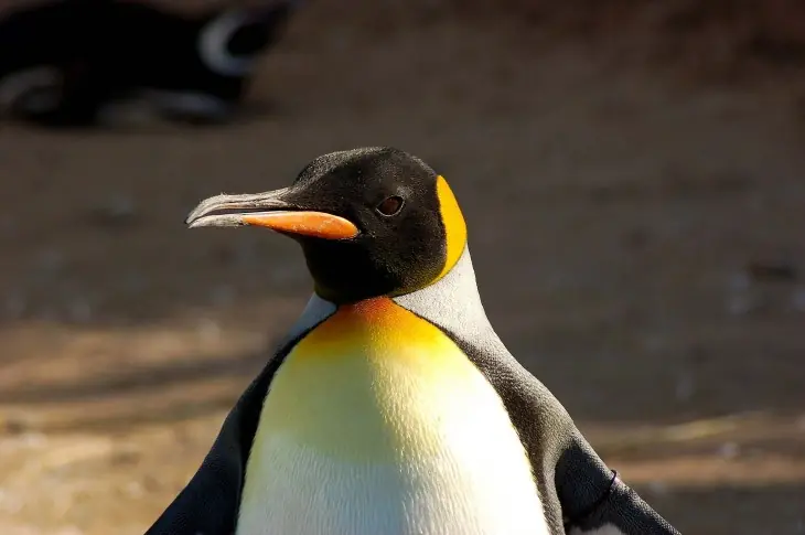 Turismo Argentina