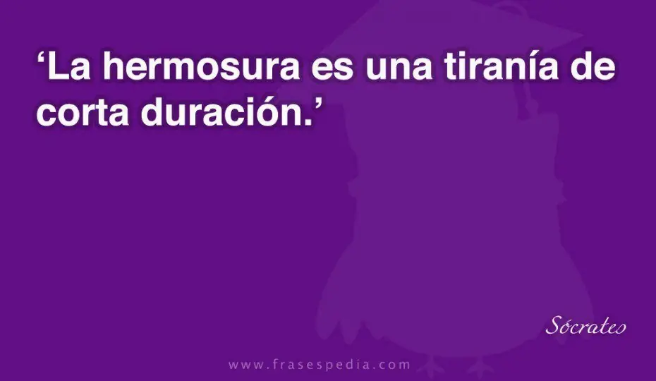 socrates socrates