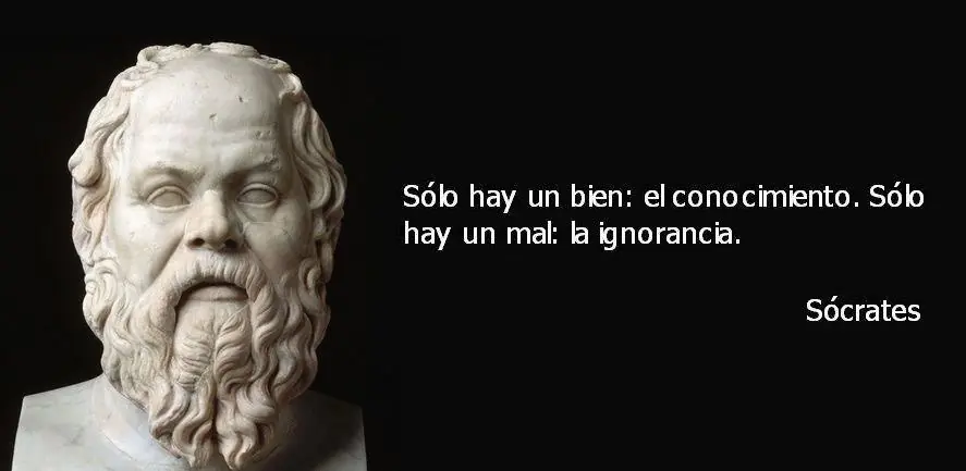 frase frase