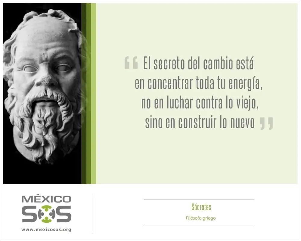 citas citas