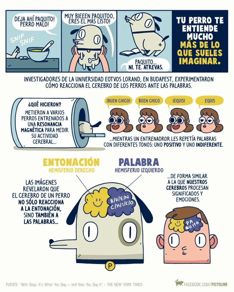 pictoline