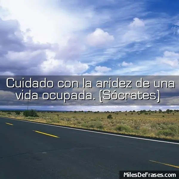 frases frases