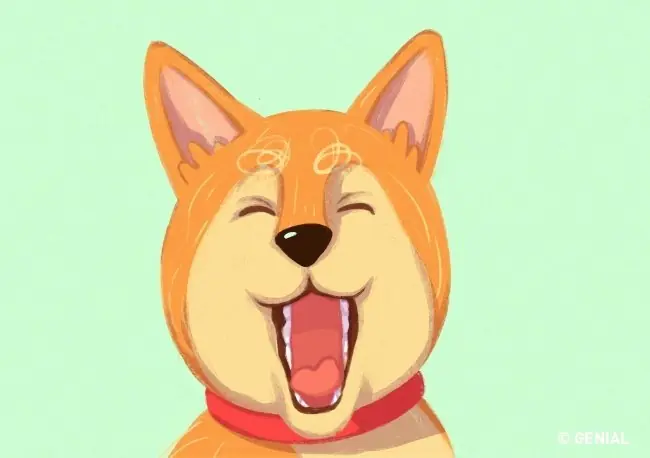 mascota