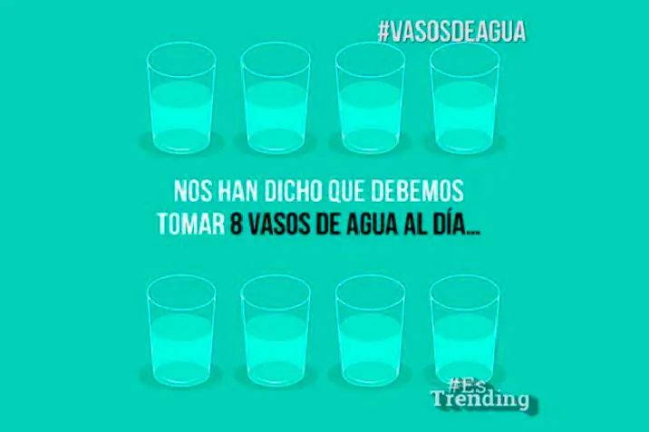 Guía ilustrada sobre los beneficios para tu cuerpo al tomar