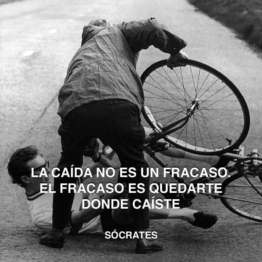 frase frase