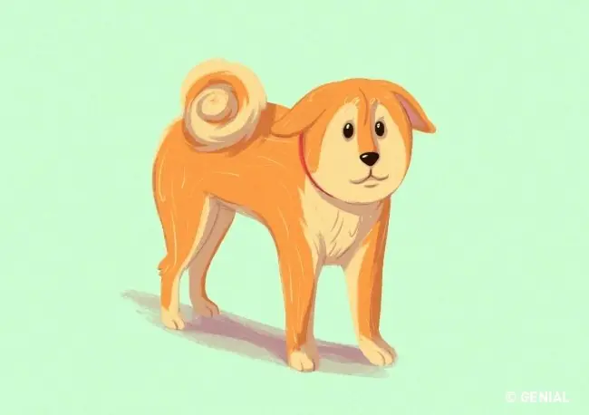 16 Trucos que te ayudarán a entender a los perros.