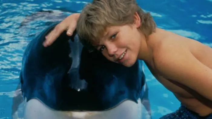 liberen a willy