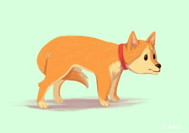mascota
