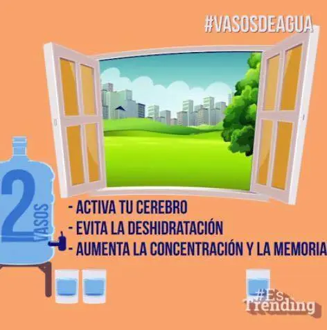 Guía ilustrada sobre los beneficios para tu cuerpo al tomar