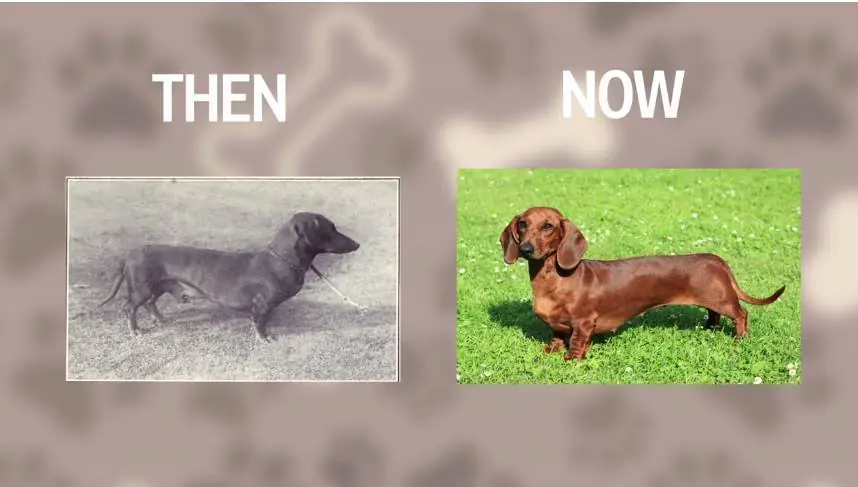 ultimos 100 anos