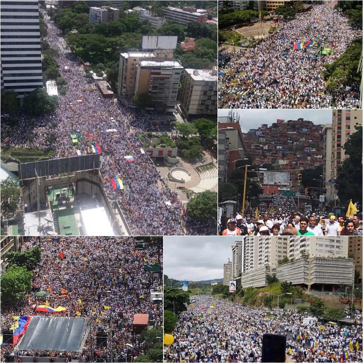 Oposición Contra Los ''Defensores De La Patria''