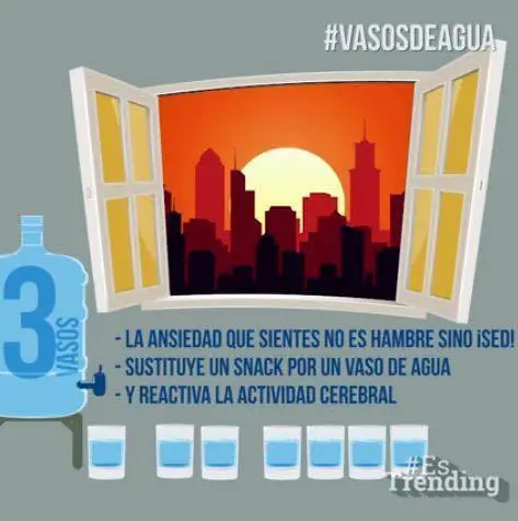 Guía ilustrada sobre los beneficios para tu cuerpo al tomar