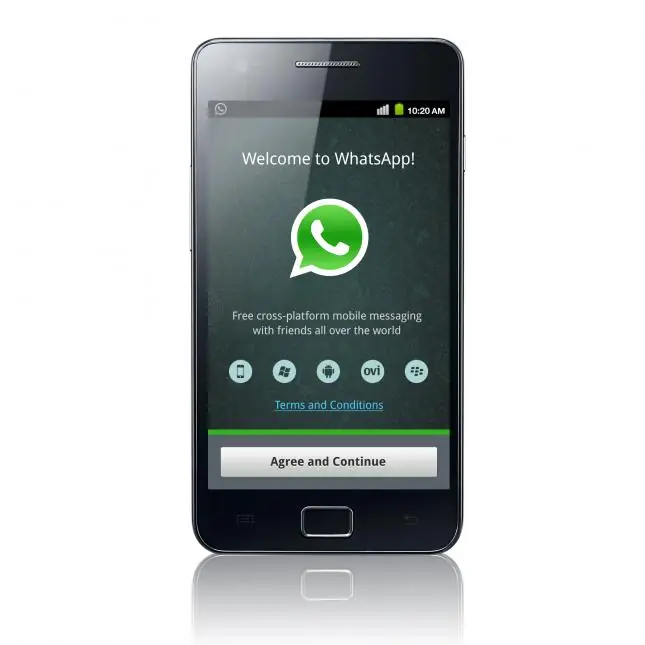 whatsapp whatsapp