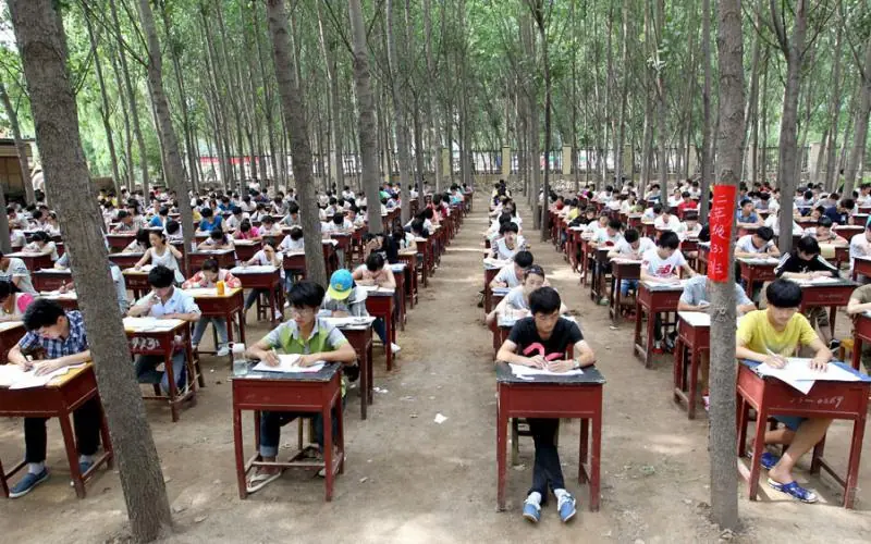 educacion japonesa