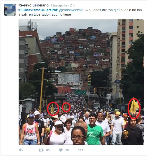 VAMOS