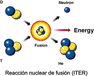 Petroleo