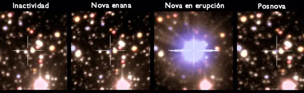 logran