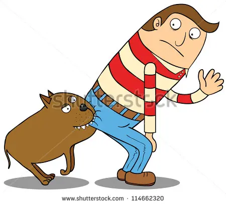 15 Trucos que te ayudaran a entender a tu perro!