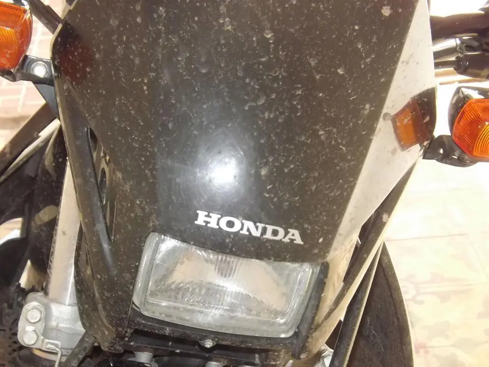 ladrones de mierda