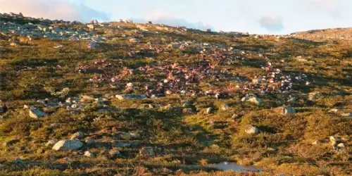 mas de 300