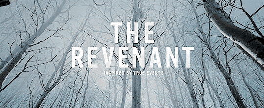 Curiosidades de la película : "The Revenant"
