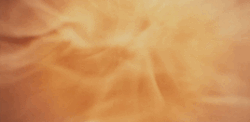 hartnell hartnell