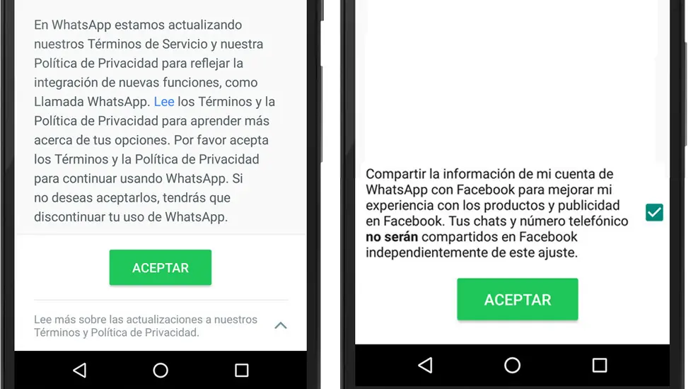 whatsapp whatsapp