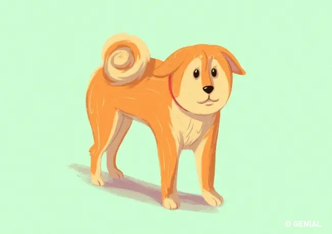 15 Trucos que te ayudaran a entender a tu perro!