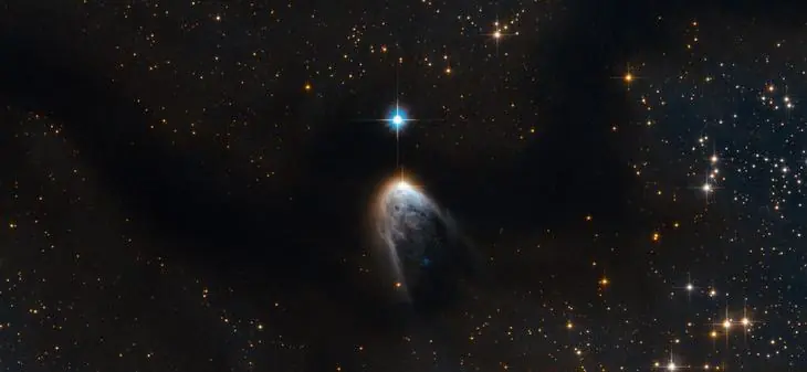 10 Cosas Increíbles Que Descubrió La Ciencia Este Año 2016
