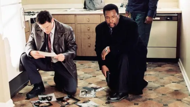 The Wire The Wire