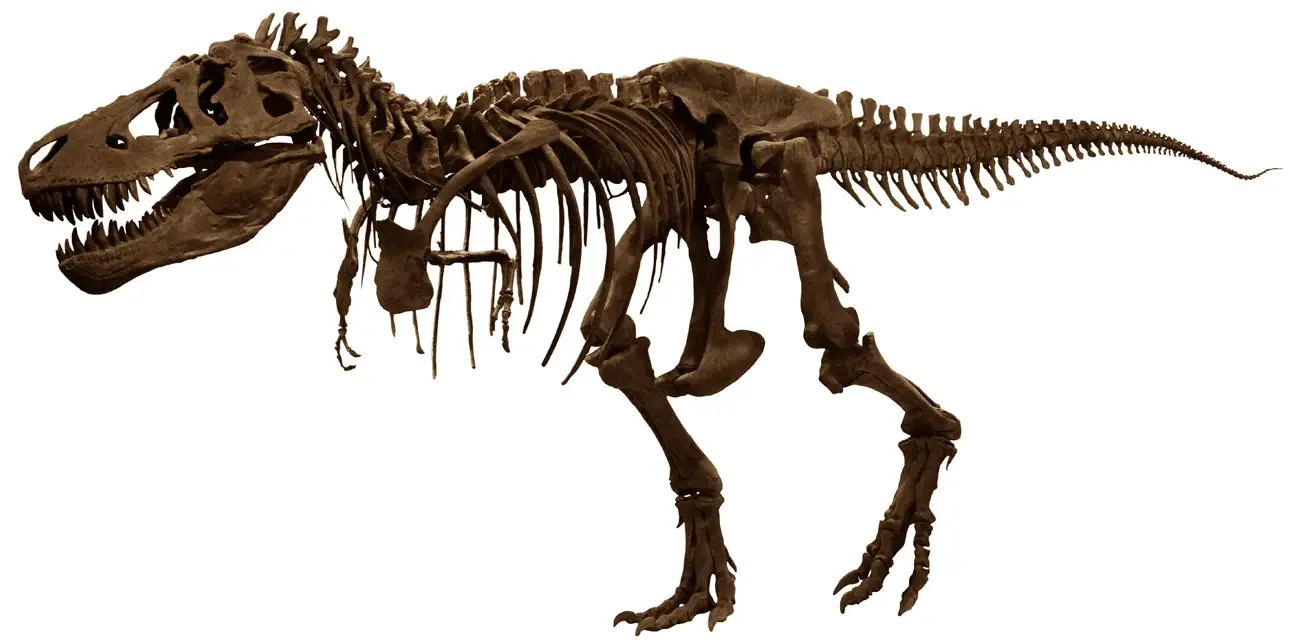 tiranosaurio rex